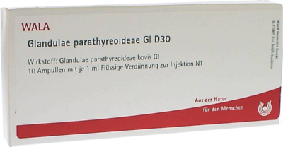 GLANDULAE PARATHYREOIDEAE GL D 30 Ampullen