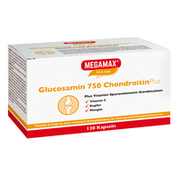 GLUCOSAMIN 750 Chondroitin Plus Megamax Kapseln