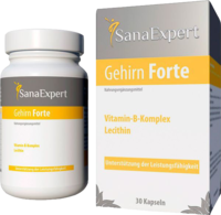 SANAEXPERT Gehirn forte Kapseln