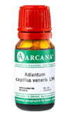 ADIANTUM CAPILLUS veneris LM 75 Dilution