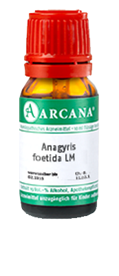 ANAGYRIS foetida LM 28 Dilution