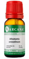 ATHAMANTA oreoselinum LM 1 Dilution