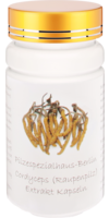 CORDYCEPS EXTRAKT 300 mg 35% Polysaccharide Kaps.