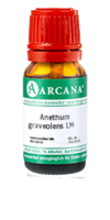 ANETHUM graveolens LM 18 Dilution