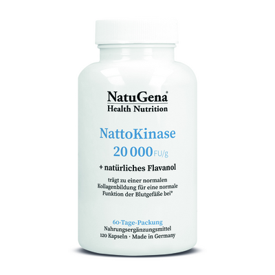 NATTOKINASE 2000 Kapseln